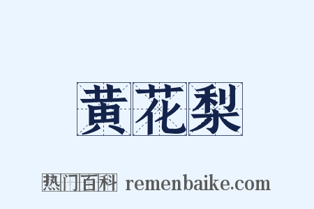 黄花梨是什么意思的图片